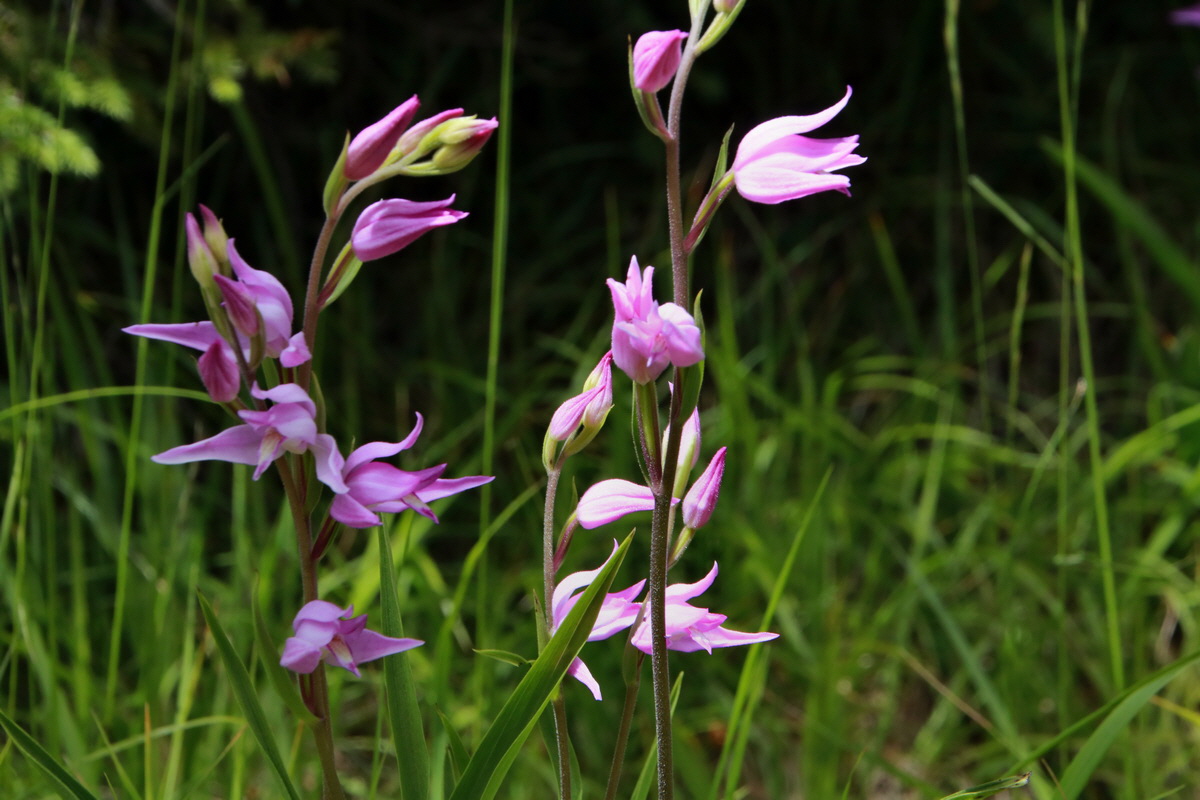 2015_06_23_006312p_Bildgr��e �ndern