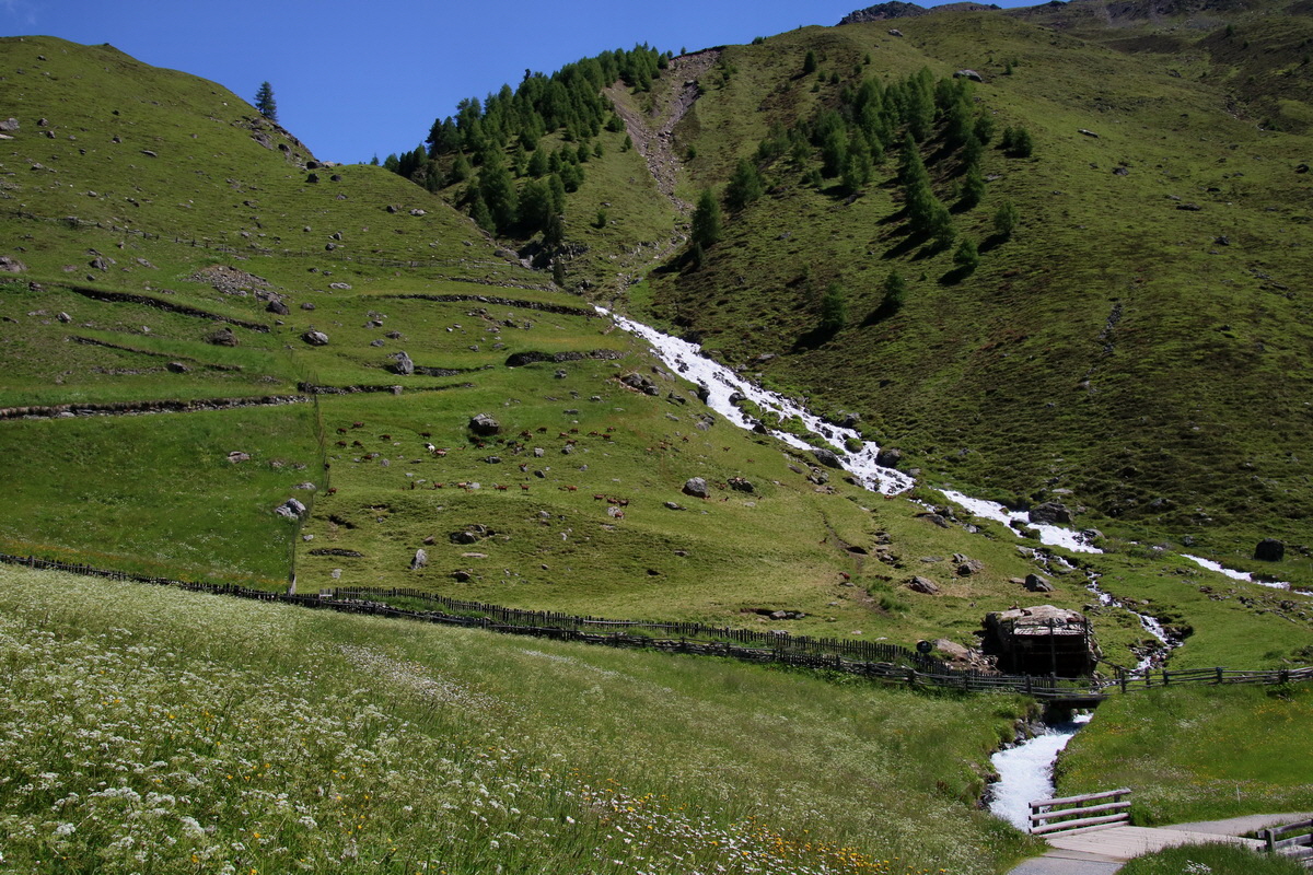 2016_07_03_021587p_Bildgr��e �ndern