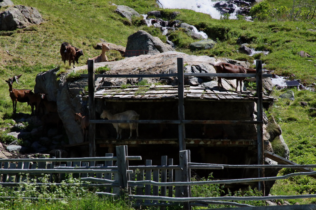 2016_07_03_021595p_Bildgr��e �ndern