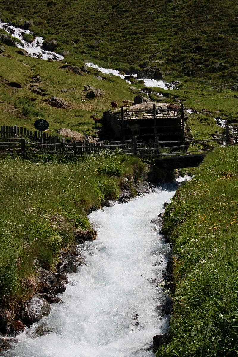 2016_07_03_021599p_Bildgr��e �ndern