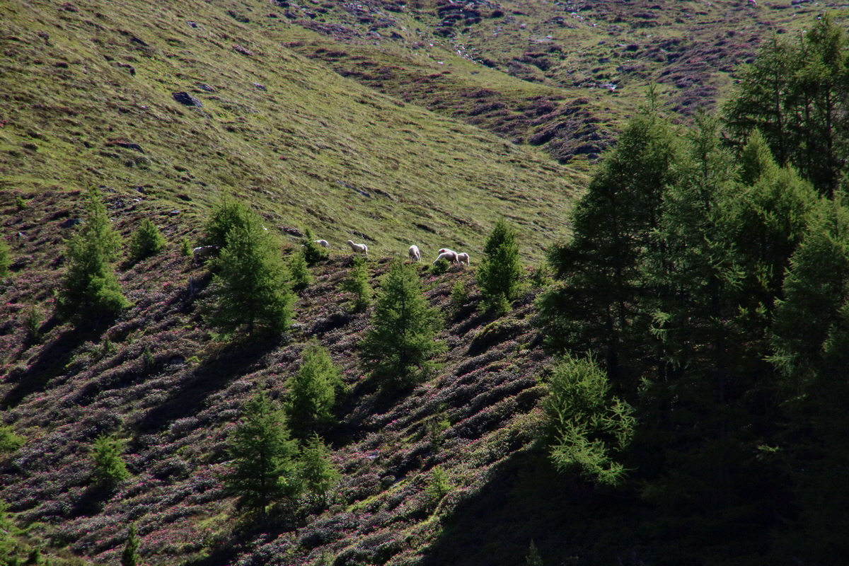 2016_07_03_021601p_Bildgr��e �ndern