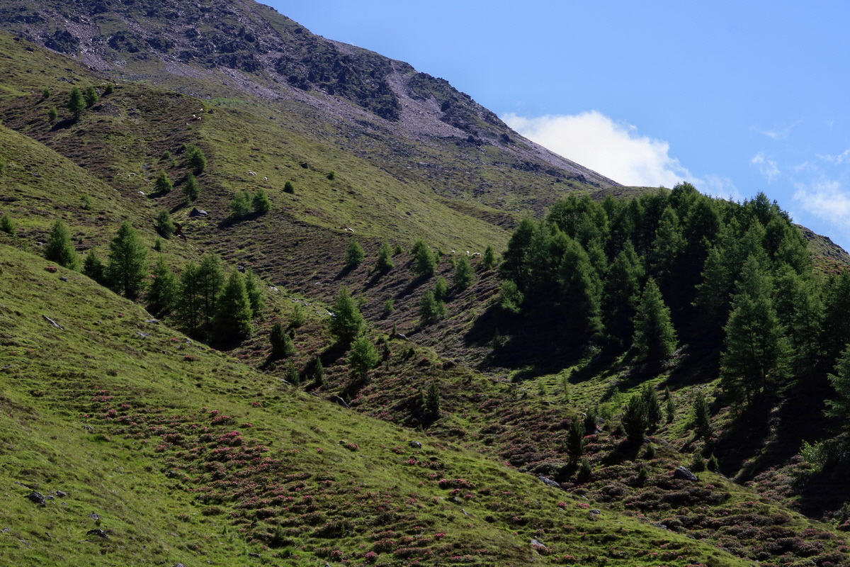 2016_07_03_021605p_Bildgr��e �ndern