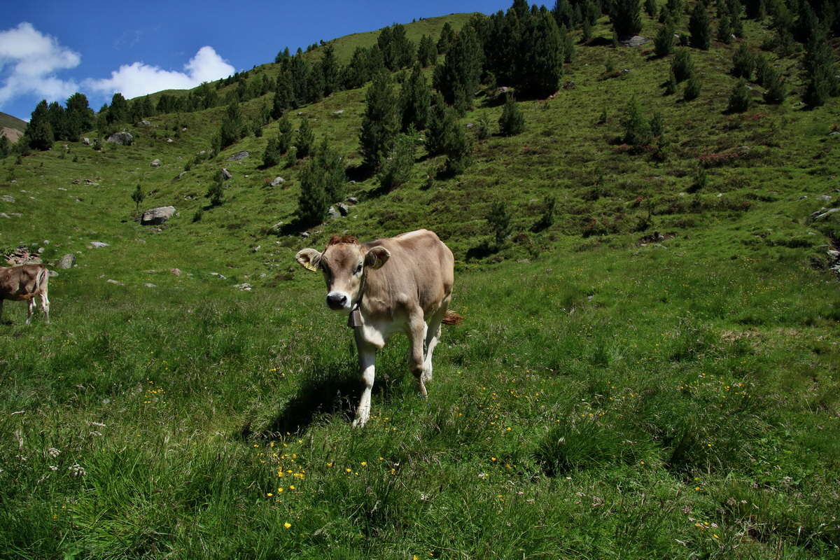 2016_07_03_021618p_Bildgr��e �ndern