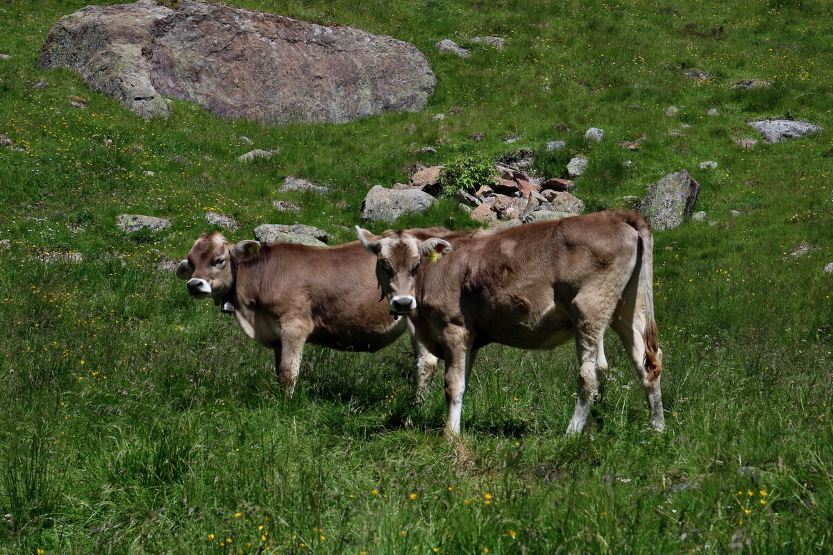 2016_07_03_021625p_Bildgr��e �ndern