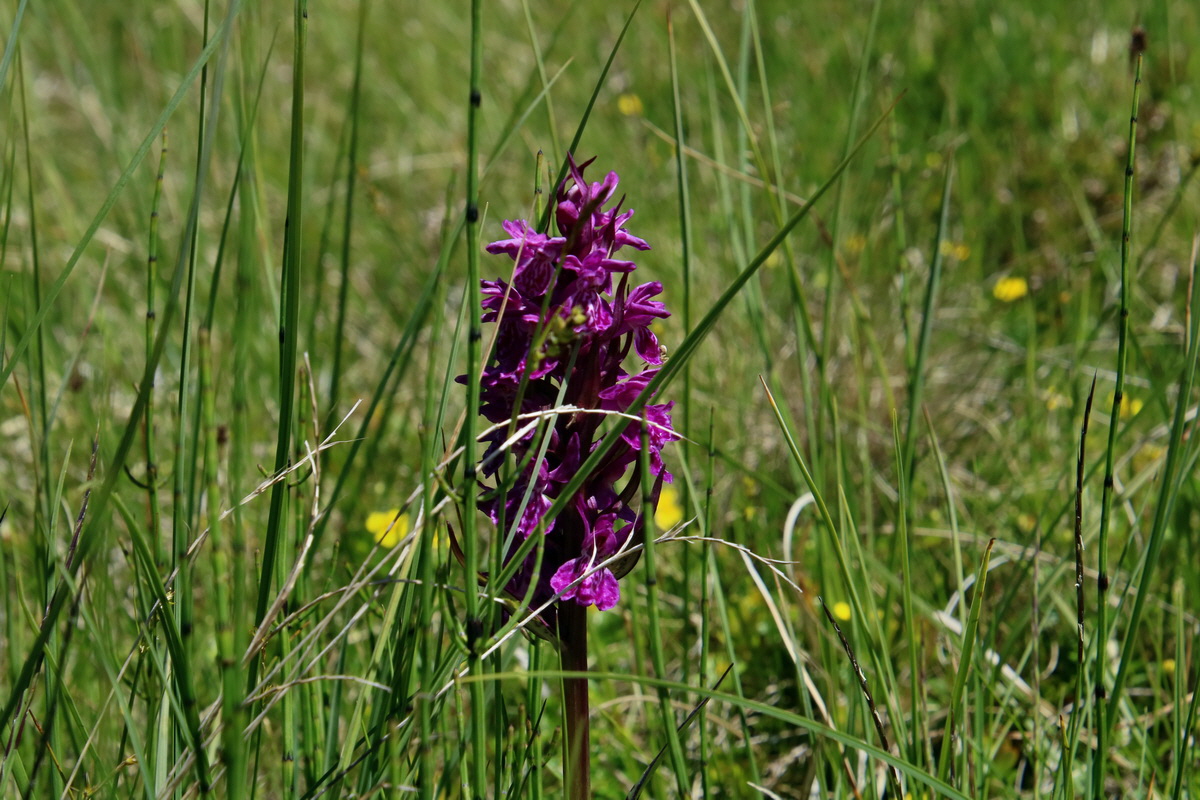 2016_07_03_021642p_Bildgr��e �ndern