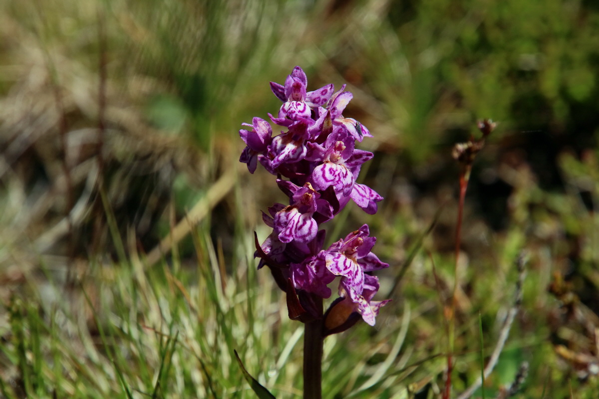 2016_07_03_021652p_Bildgr��e �ndern