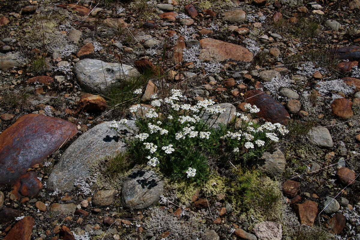 2016_07_03_021655p_Bildgr��e �ndern