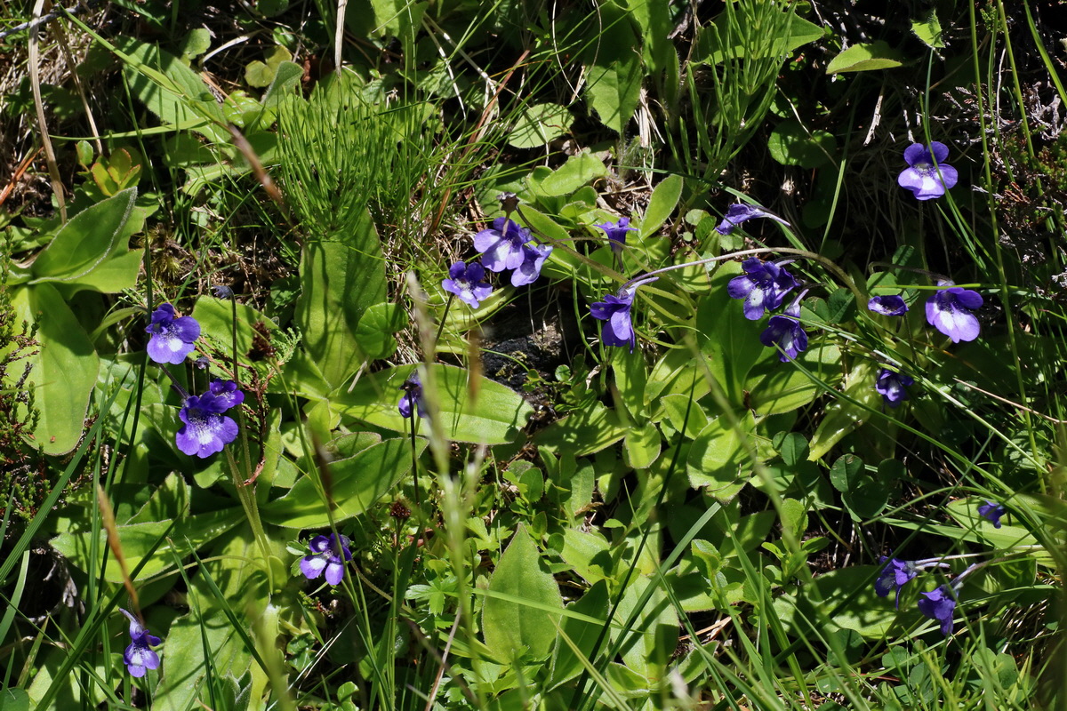 2016_07_03_021740p_Bildgr��e �ndern