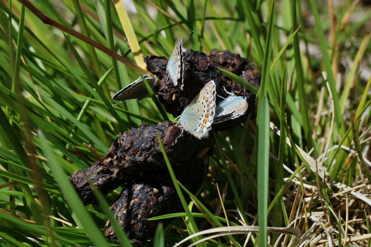 2016_07_03_021751p_Bildgr��e �ndern