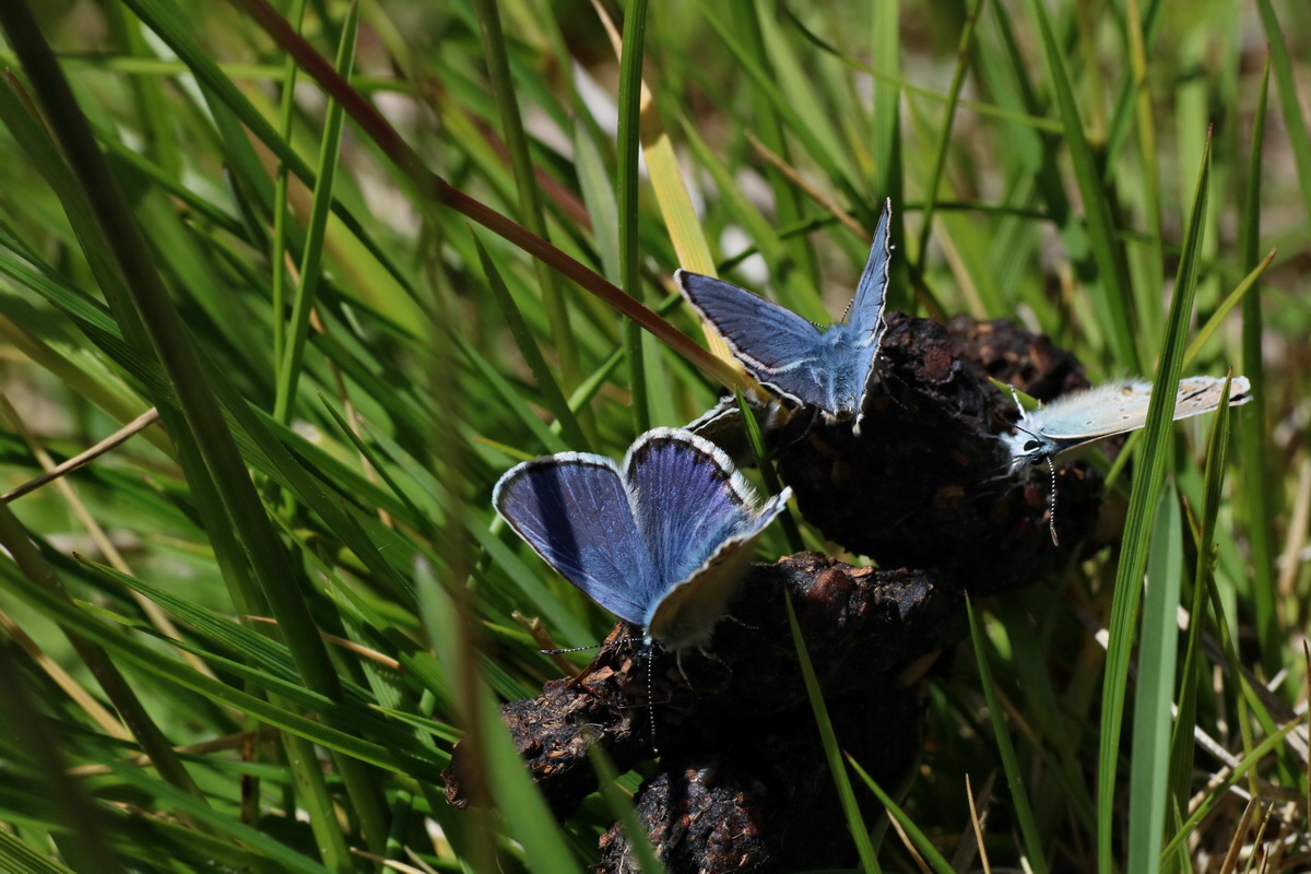 2016_07_03_021763p_Bildgr��e �ndern