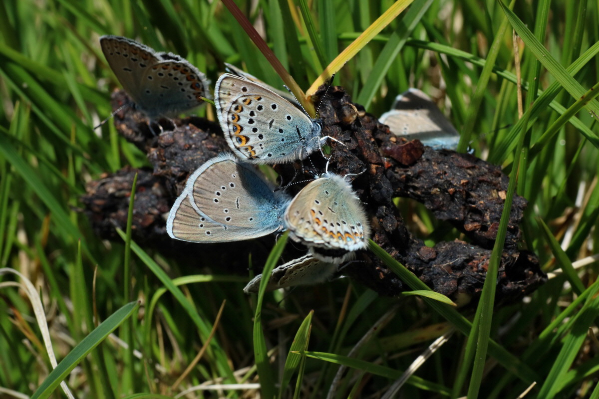 2016_07_03_021773p_Bildgr��e �ndern