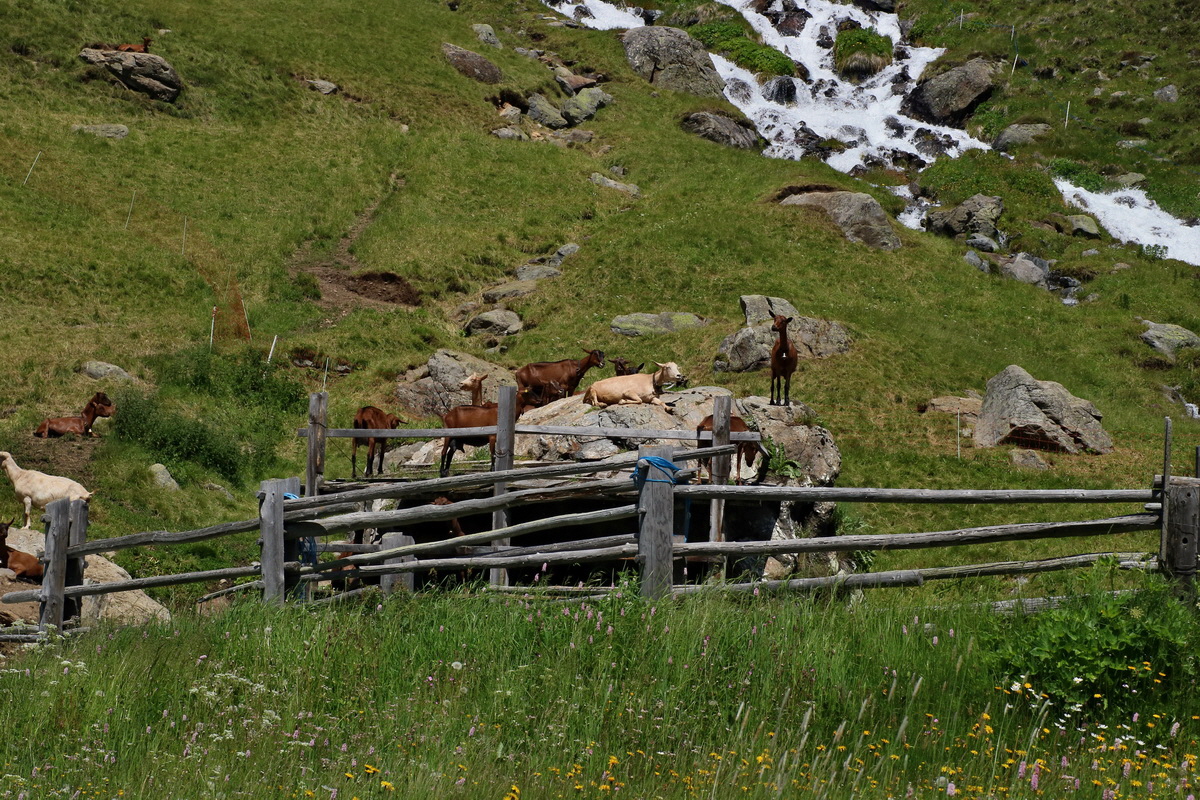 2016_07_03_021791p_Bildgr��e �ndern