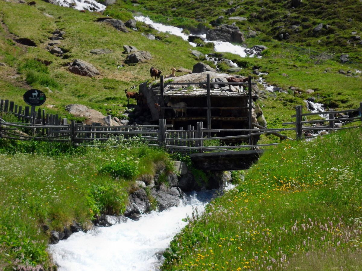 SAM_0213p_Bildgr��e �ndern