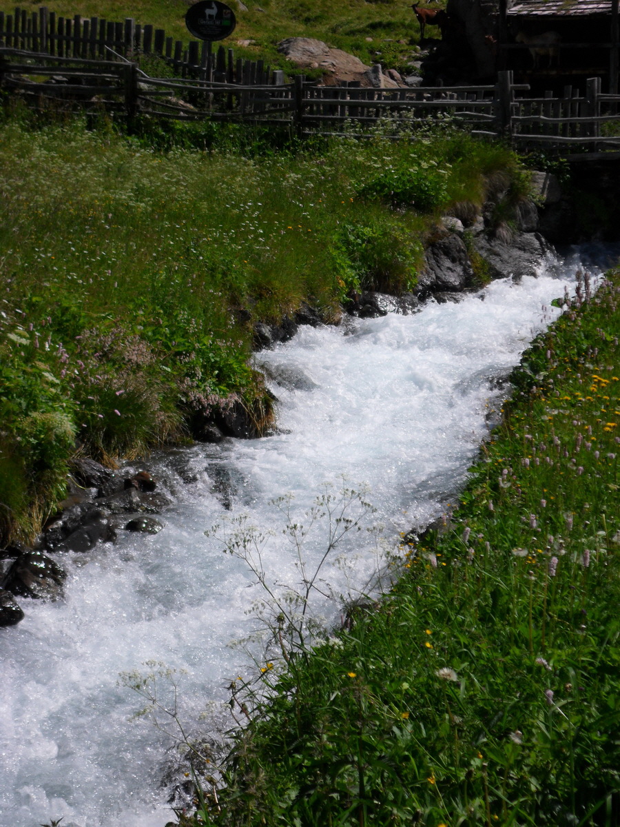 SAM_0214p_Bildgr��e �ndern