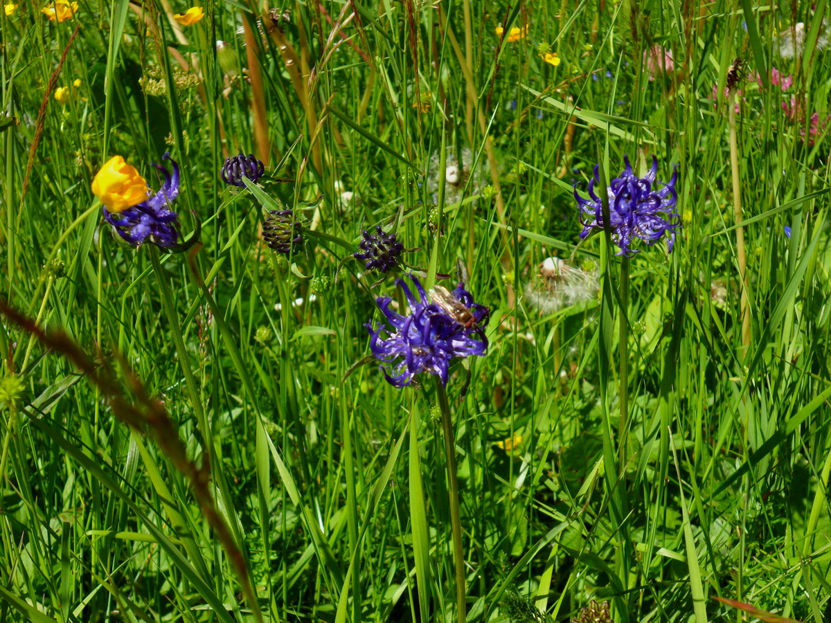 SAM_0215p_Bildgr��e �ndern