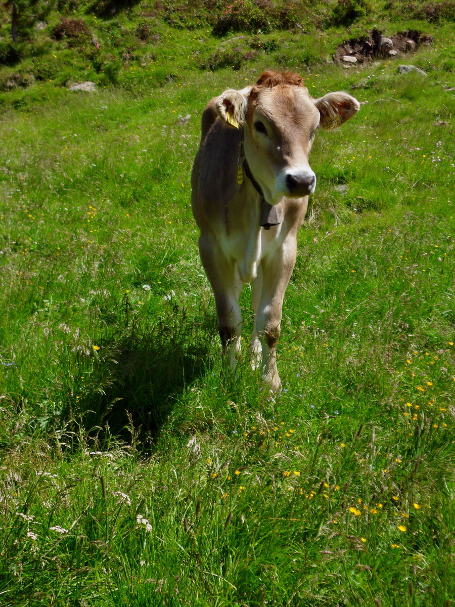 SAM_0217p_Bildgr��e �ndern