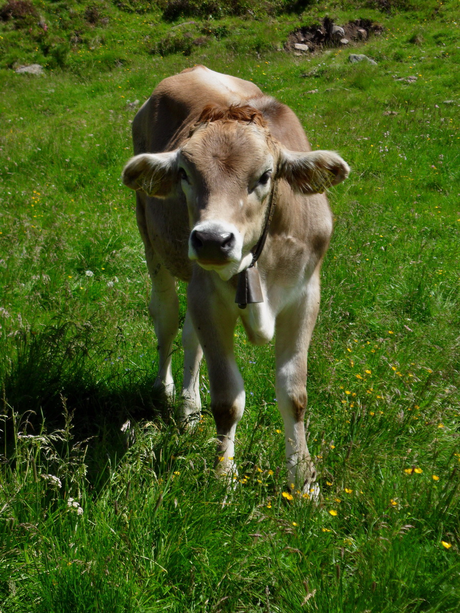 SAM_0219p_Bildgr��e �ndern