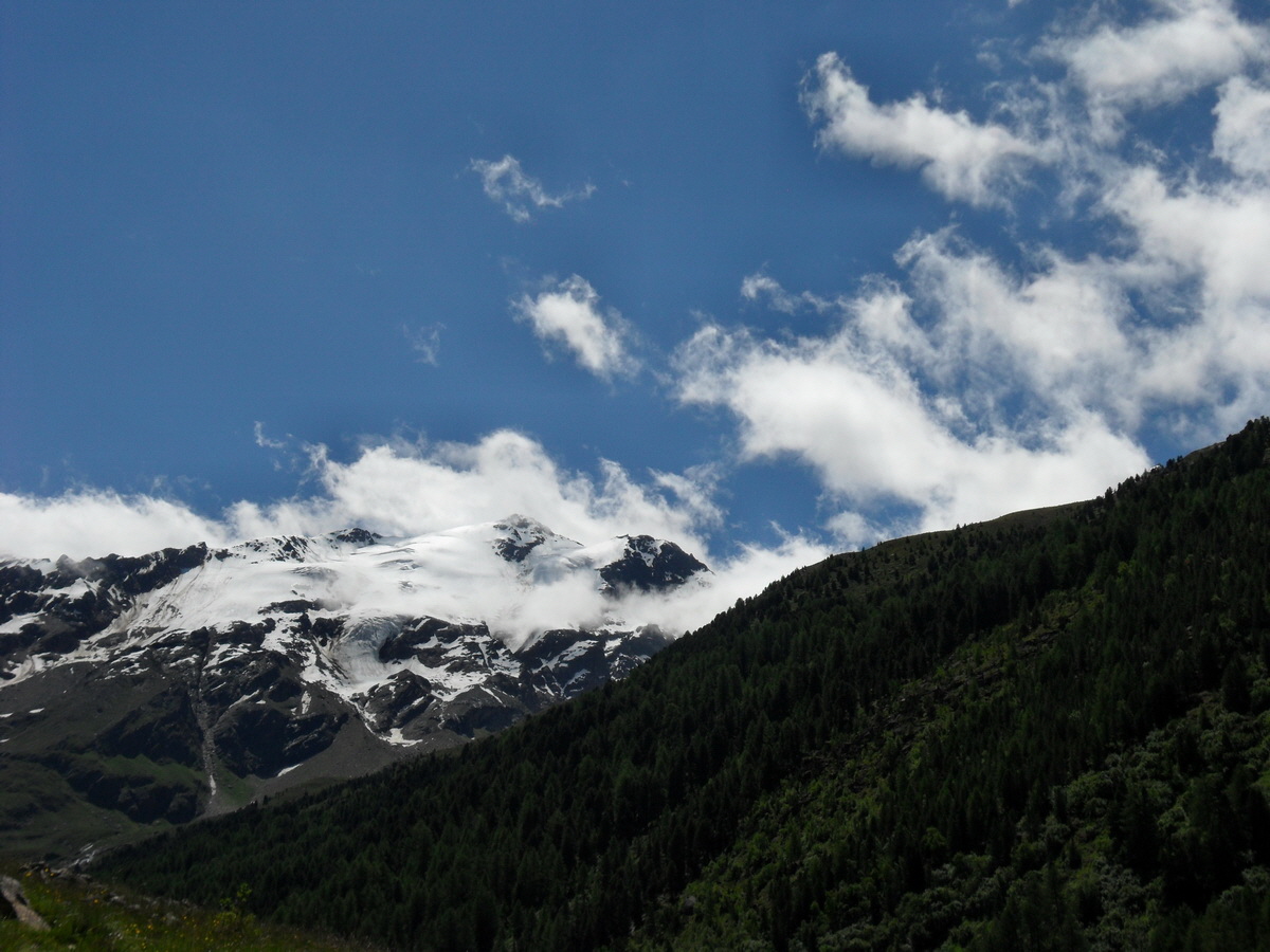 SAM_0222p_Bildgr��e �ndern