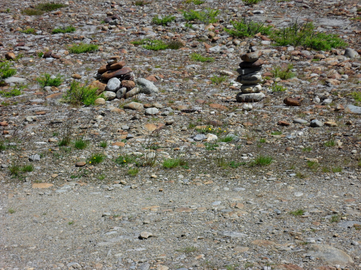 SAM_0225p_Bildgr��e �ndern