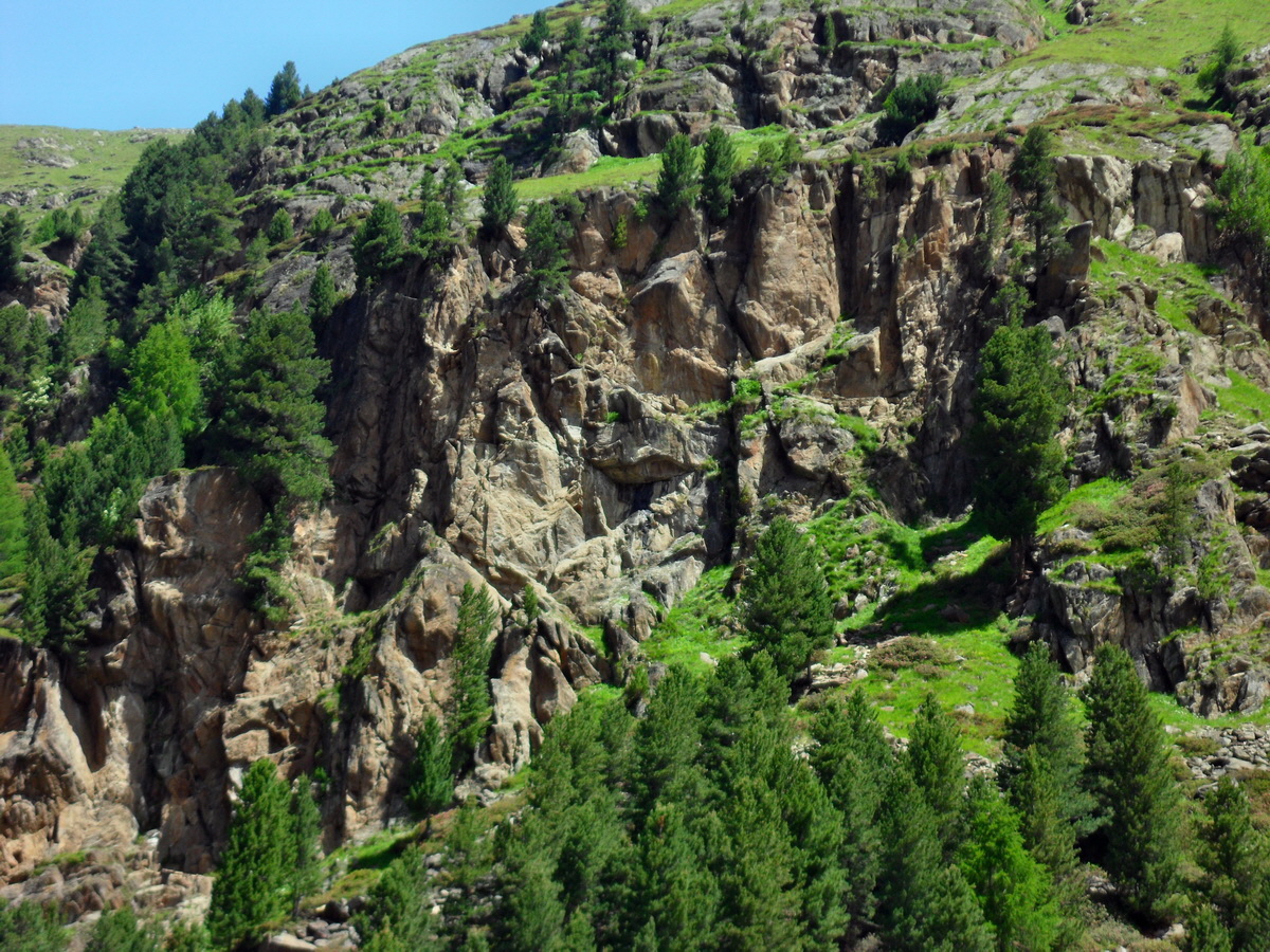 SAM_0227p_Bildgr��e �ndern