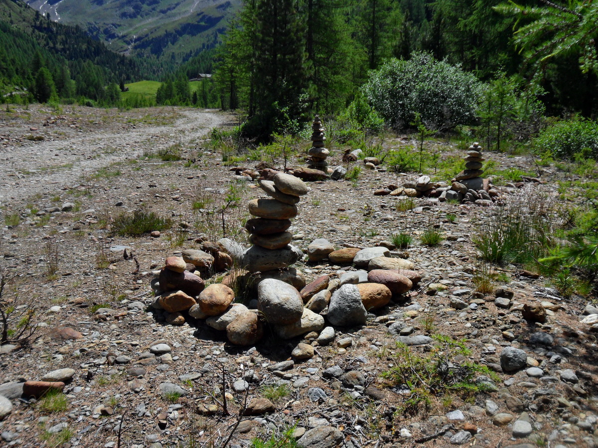 SAM_0229p_Bildgr��e �ndern