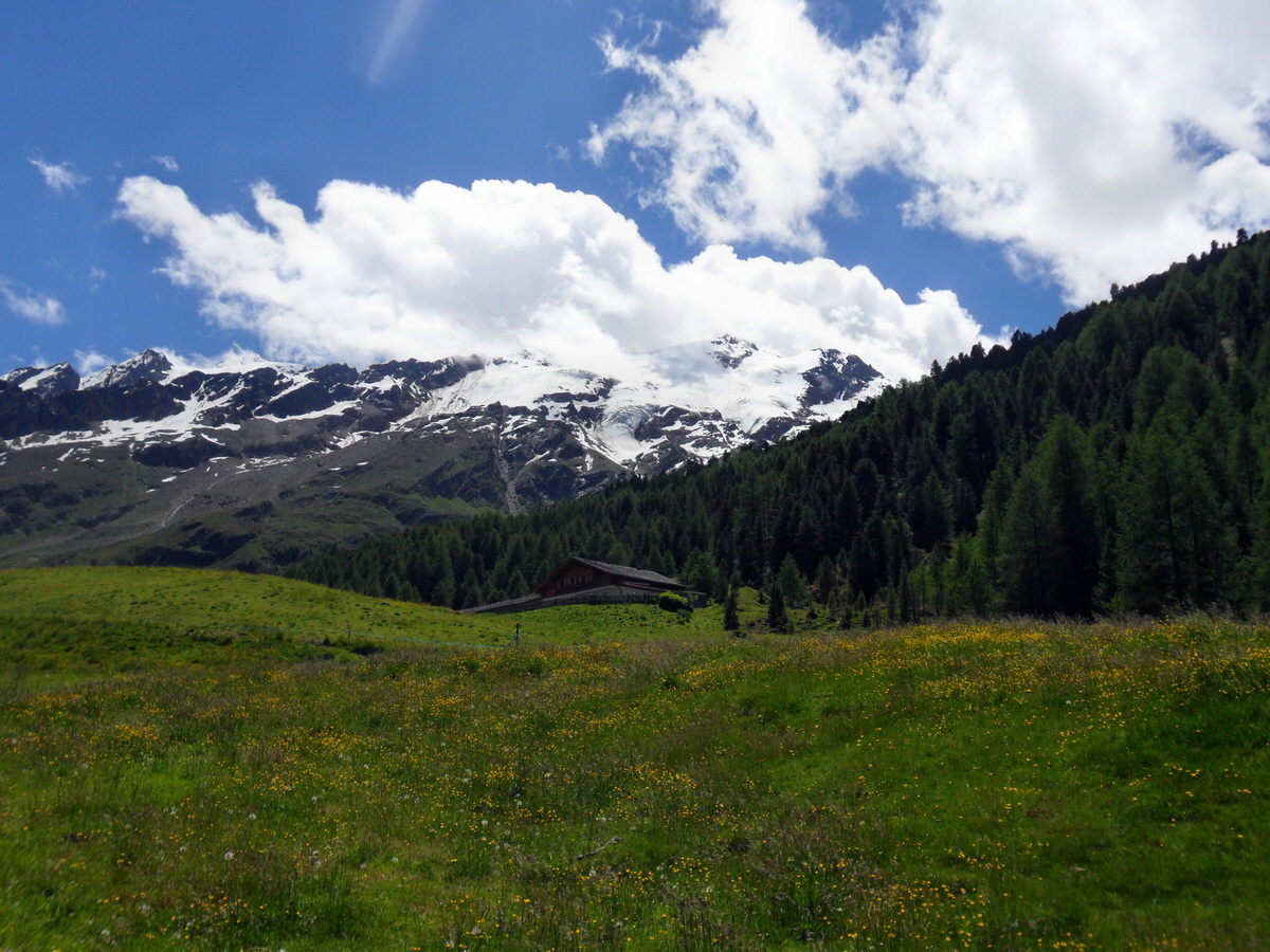 SAM_0233p_Bildgr��e �ndern