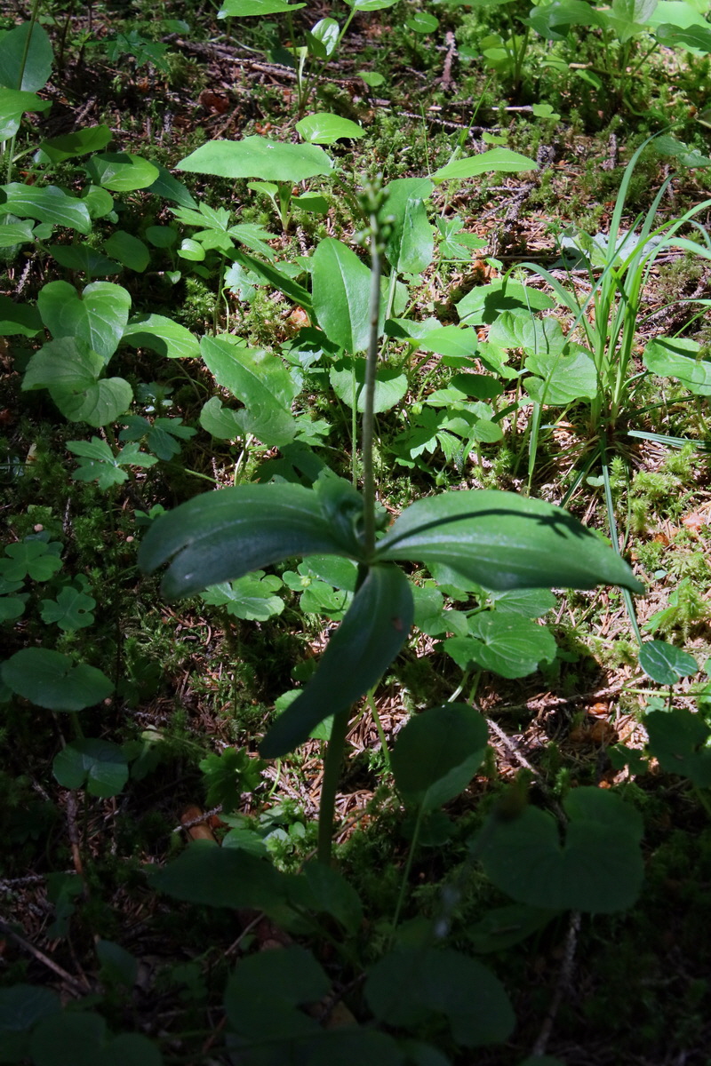 2016_07_04_021920p_Bildgr��e �ndern