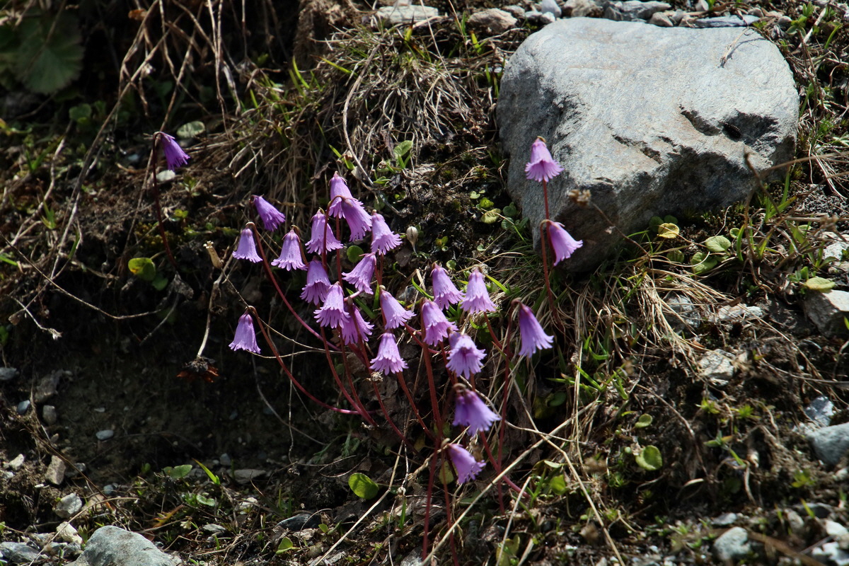 2016_07_04_021998p_Bildgr��e �ndern