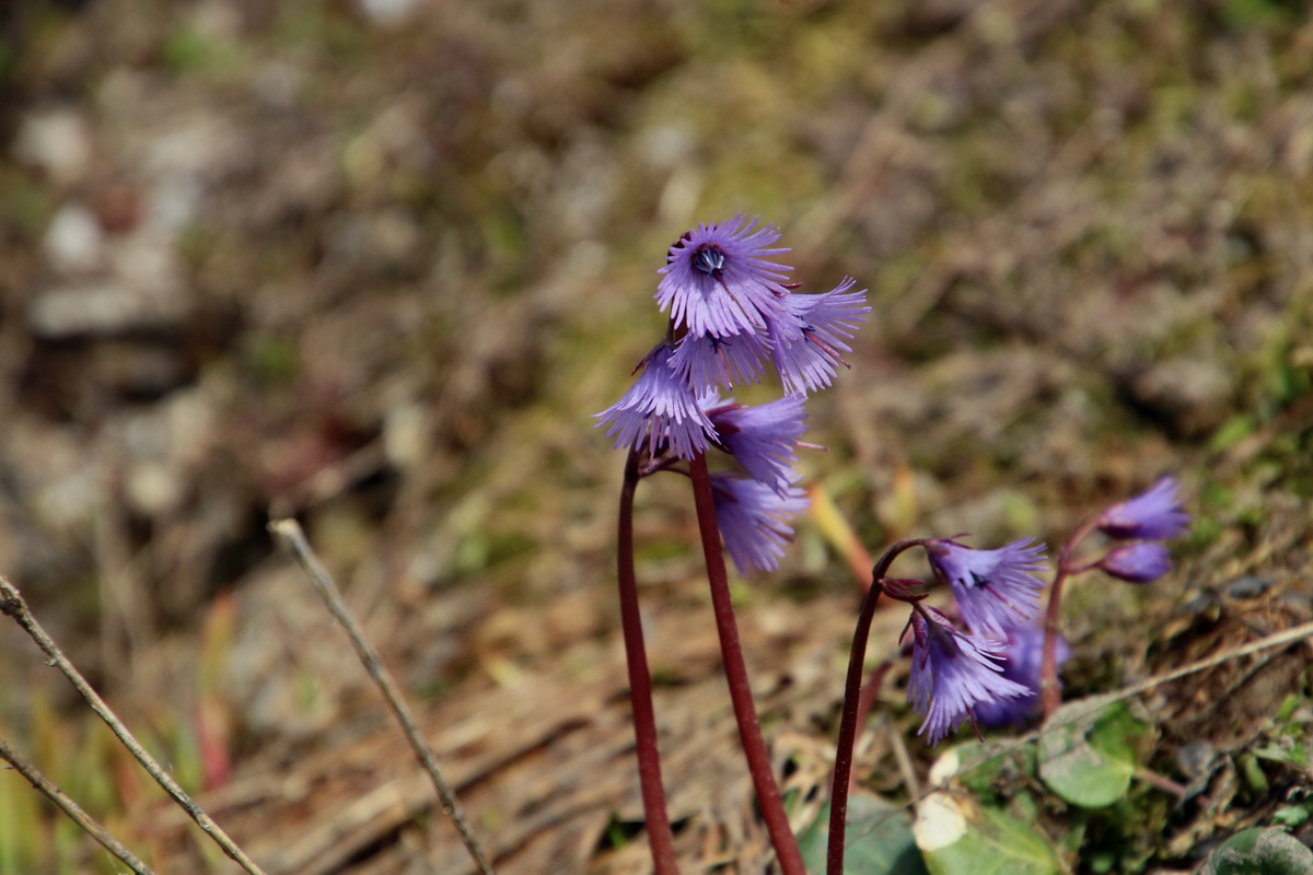 2016_07_04_022009p_Bildgr��e �ndern