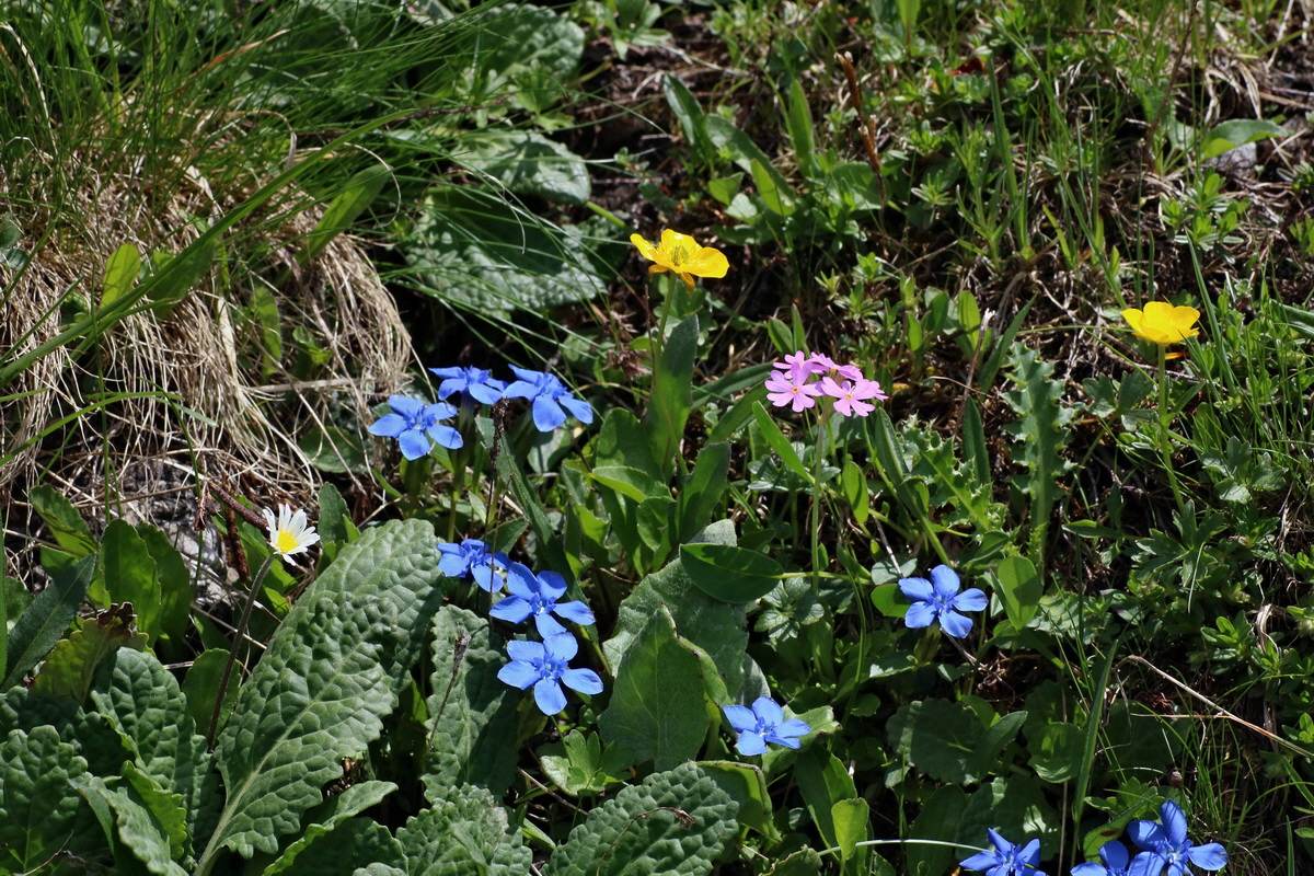 2016_07_04_022030p_Bildgr��e �ndern