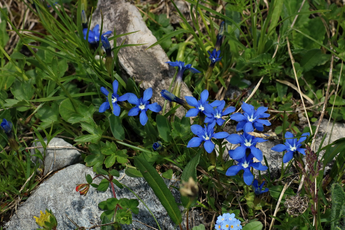 2016_07_04_022033p_Bildgr��e �ndern