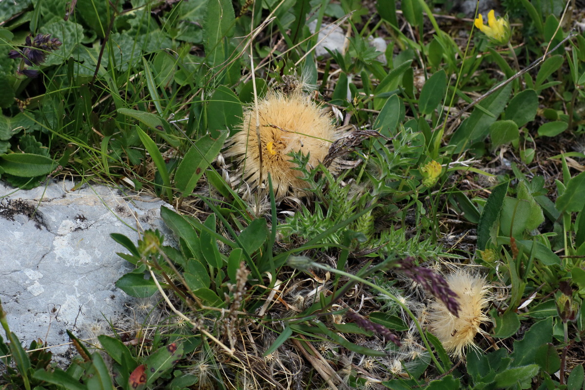 2016_07_04_022035p_Bildgr��e �ndern