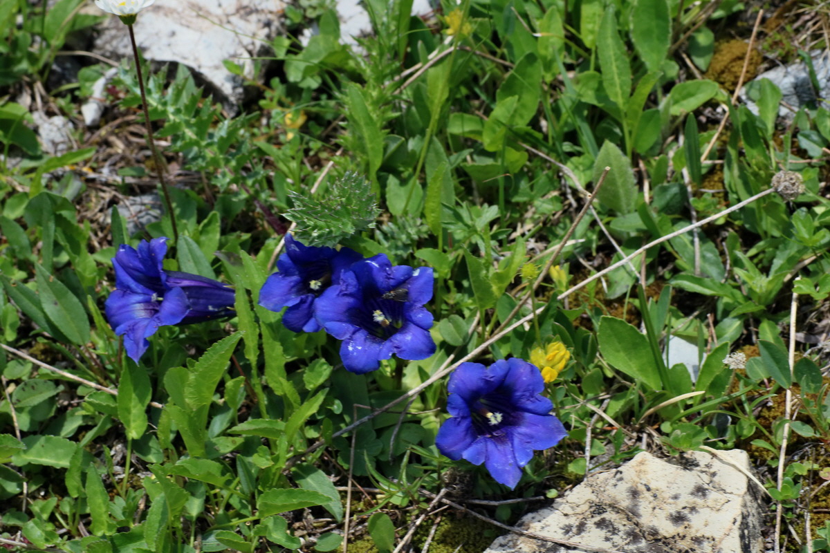 2016_07_04_022039p_Bildgr��e �ndern