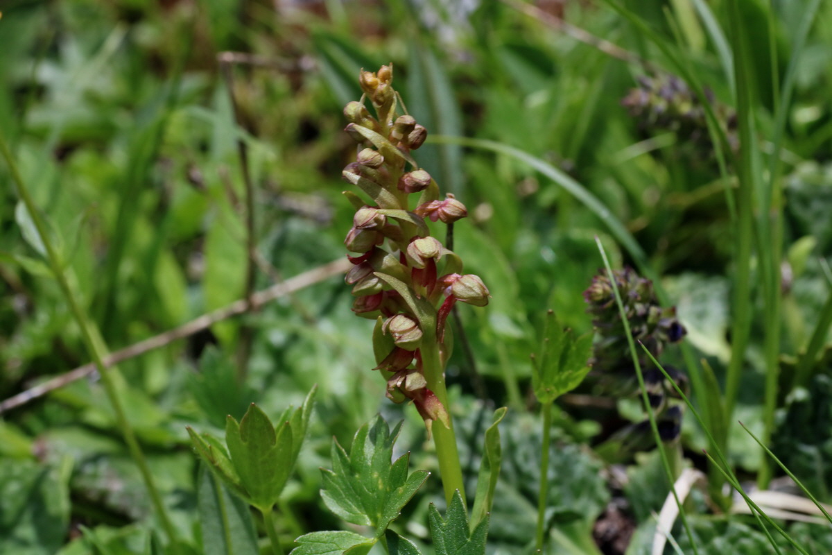 2016_07_04_022041p_Bildgr��e �ndern