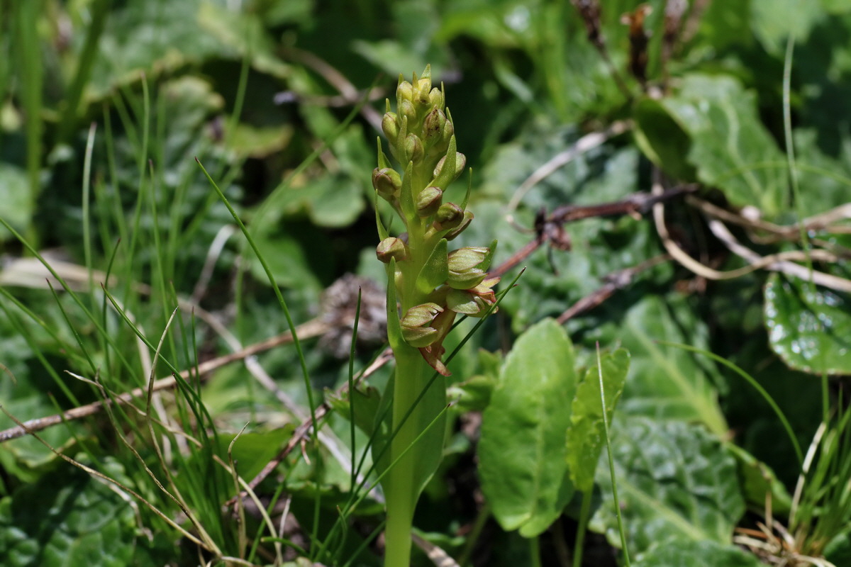 2016_07_04_022043p_Bildgr��e �ndern