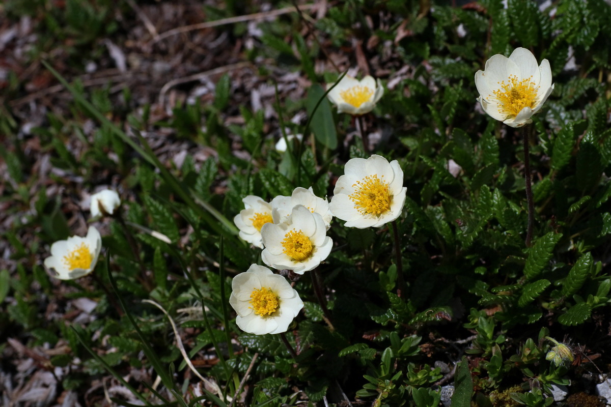 2016_07_04_022046p_Bildgr��e �ndern