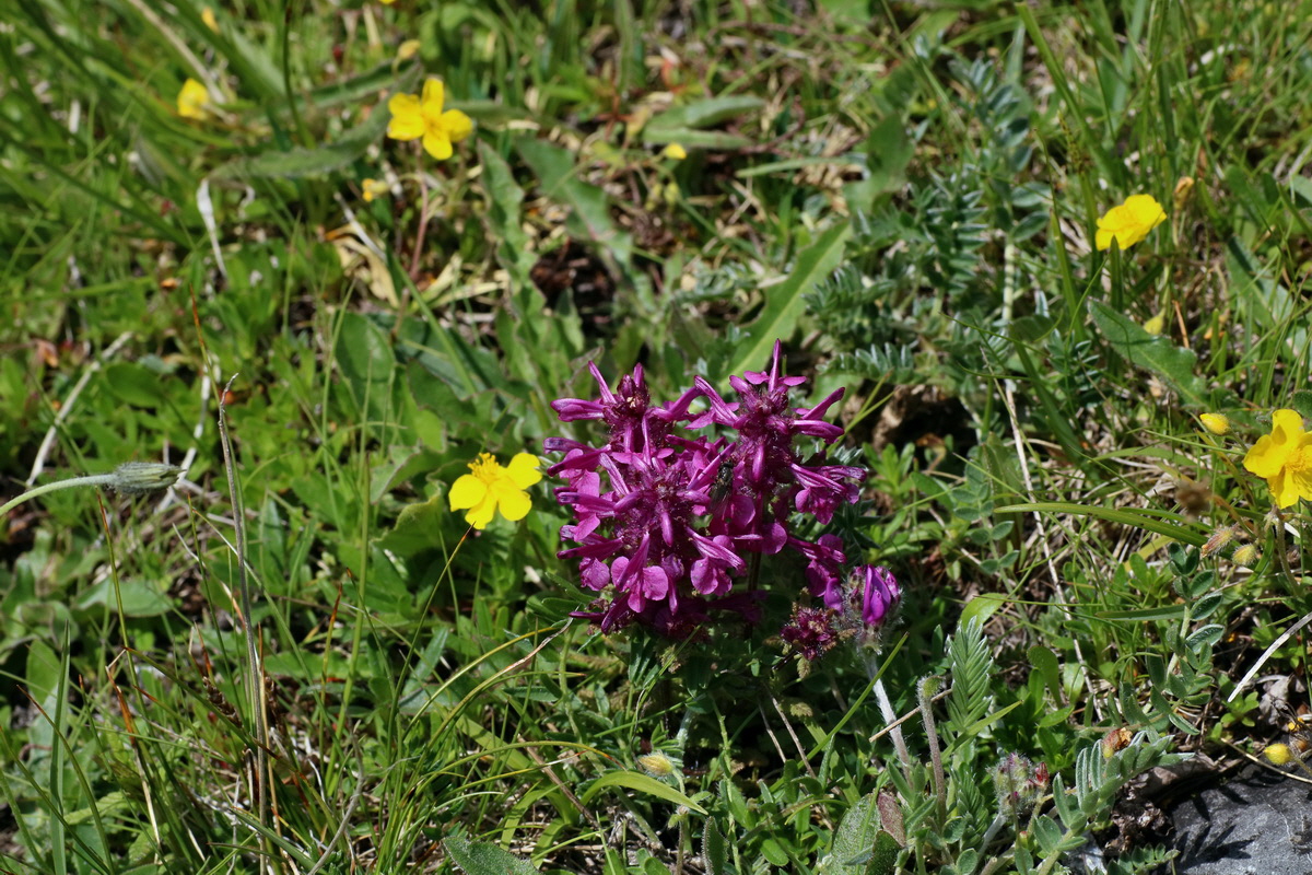 2016_07_04_022049p_Bildgr��e �ndern