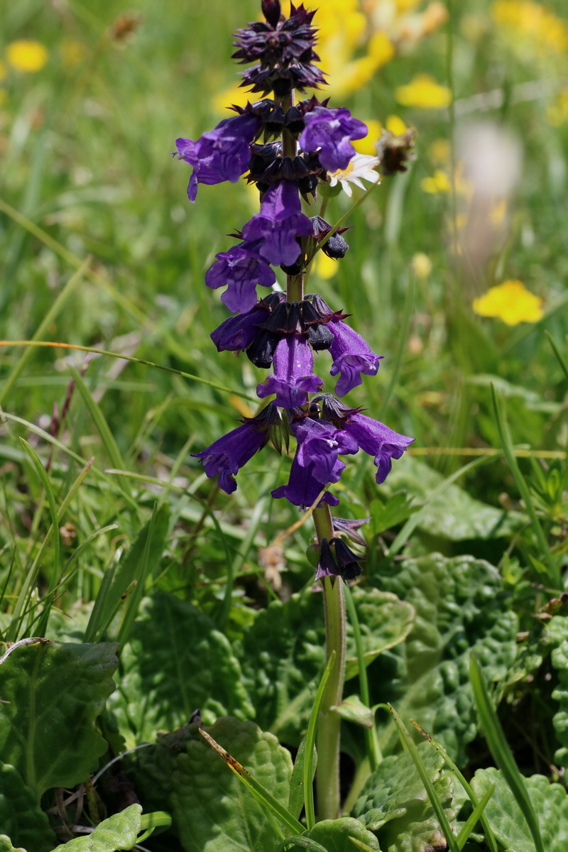 2016_07_04_022051p_Bildgr��e �ndern