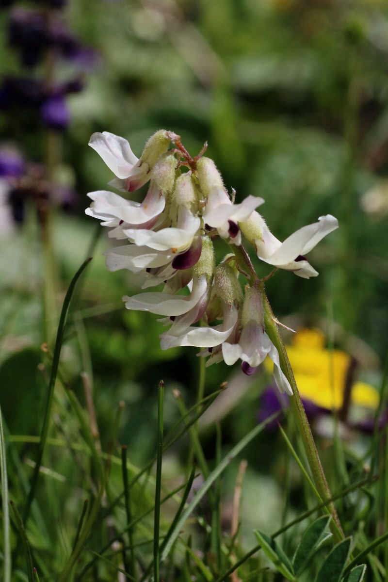 2016_07_04_022054p_Bildgr��e �ndern