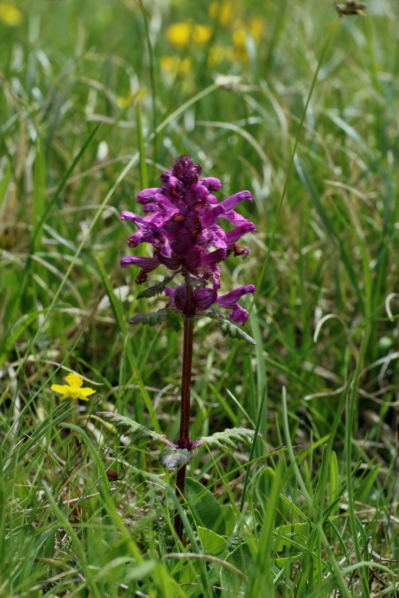 2016_07_04_022058p_Bildgr��e �ndern