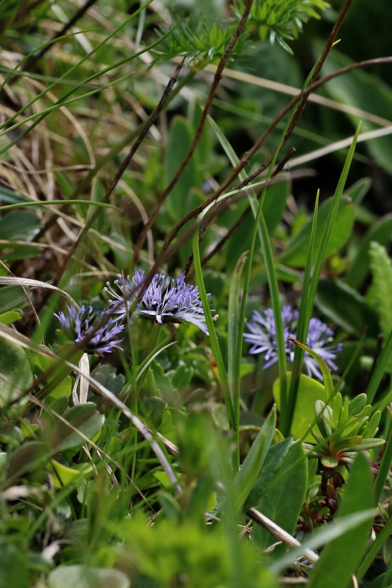 2016_07_04_022062p_Bildgr��e �ndern