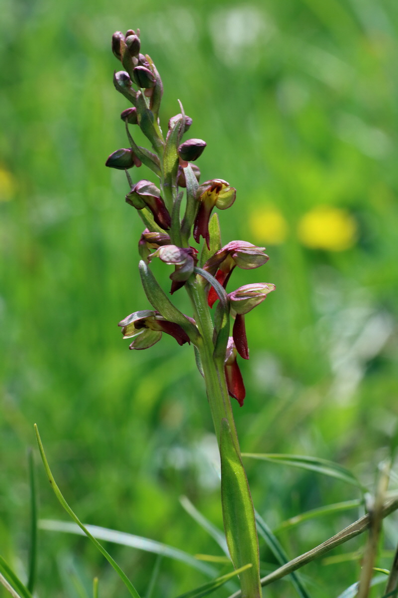 2016_07_04_022070p_Bildgr��e �ndern