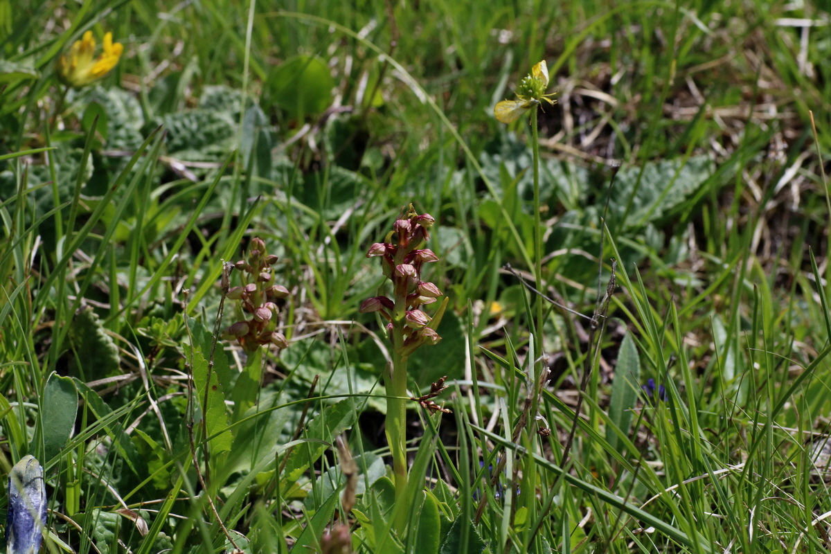 2016_07_04_022073p_Bildgr��e �ndern