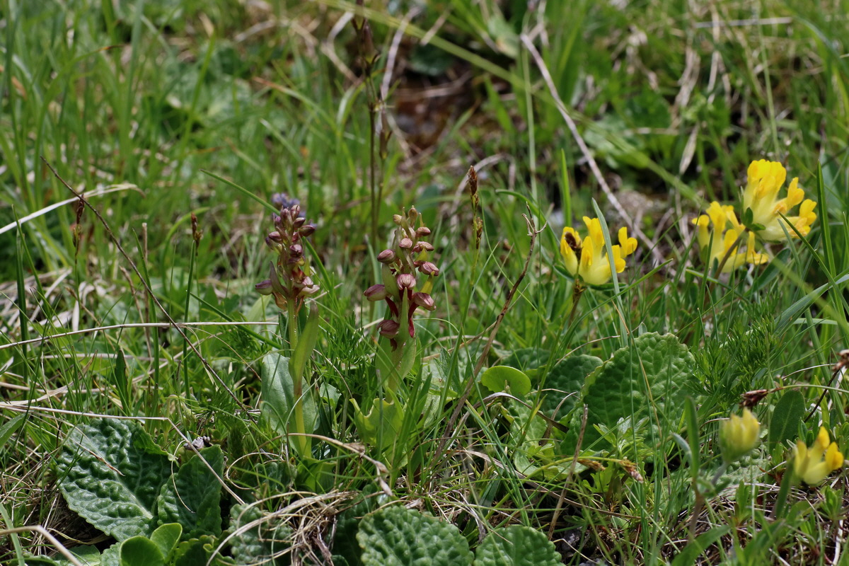 2016_07_04_022077p_Bildgr��e �ndern