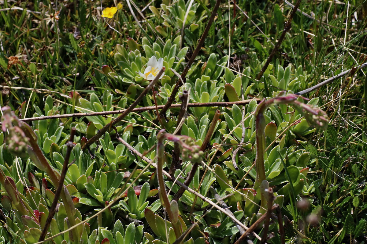 2016_07_04_022083p_Bildgr��e �ndern