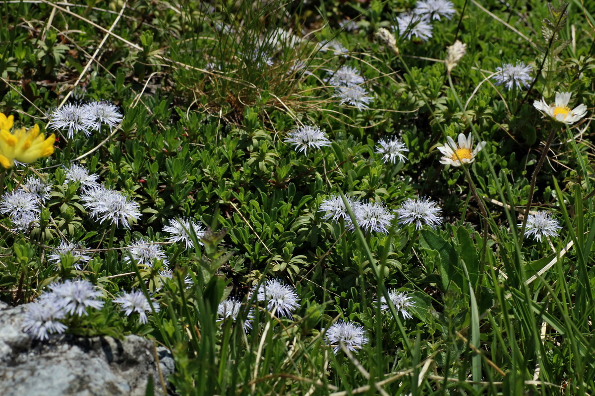 2016_07_04_022084p_Bildgr��e �ndern