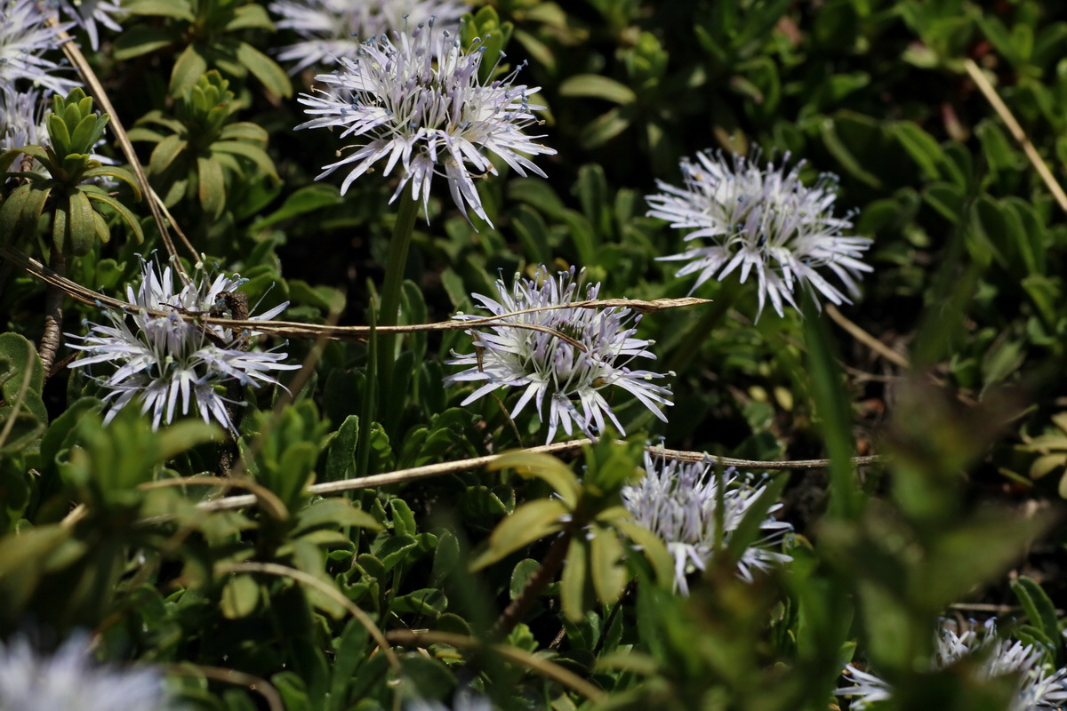 2016_07_04_022087p_Bildgr��e �ndern