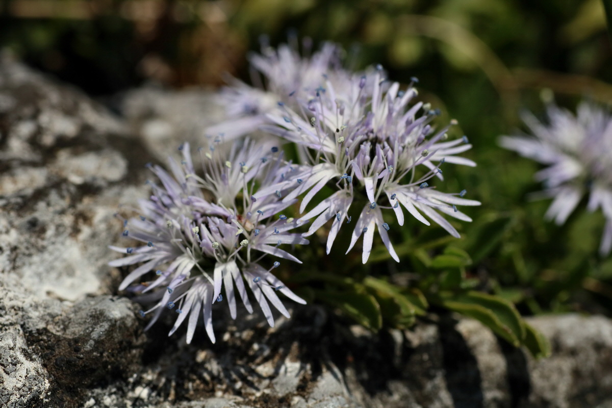 2016_07_04_022091p_Bildgr��e �ndern