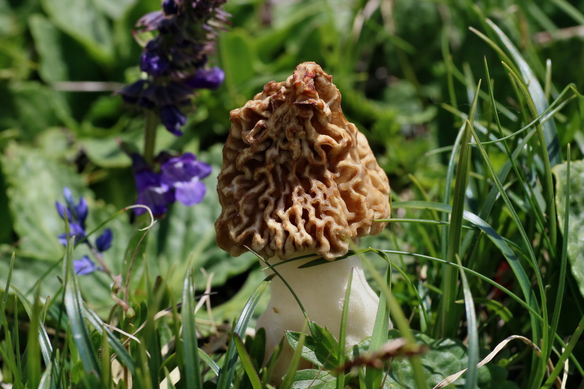 2016_07_04_022097p_Bildgr��e �ndern