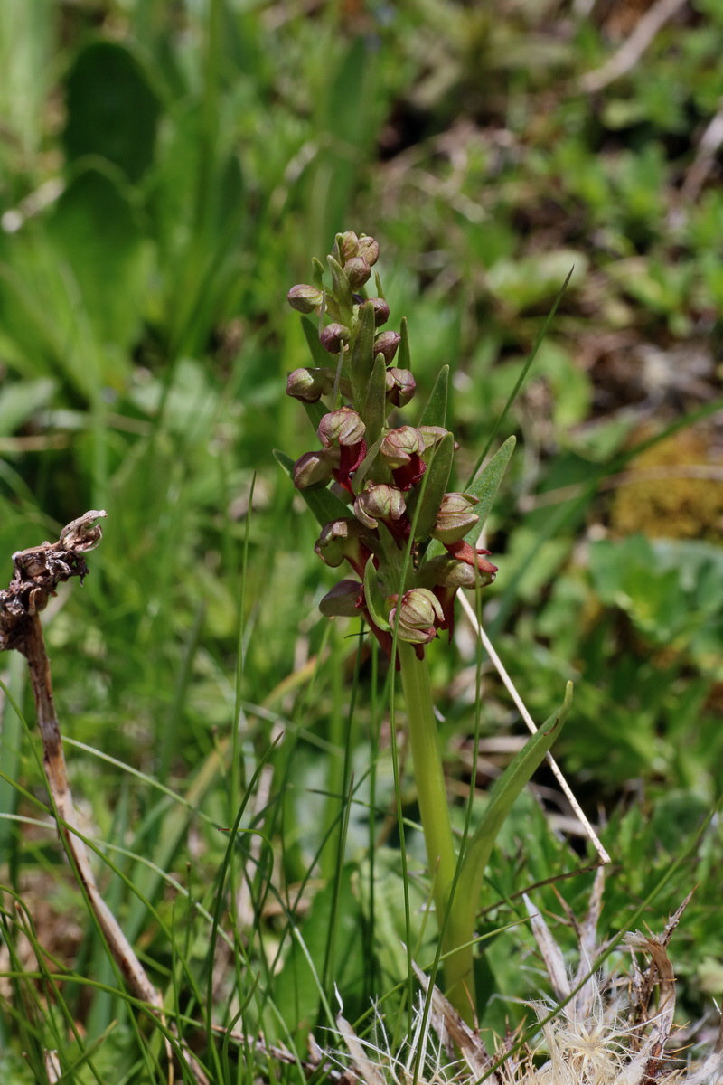 2016_07_04_022101p_Bildgr��e �ndern